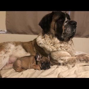 Meet your Posher, Marcello